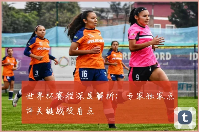 世界杯赛程深度解析：专家独家点评关键战役看点