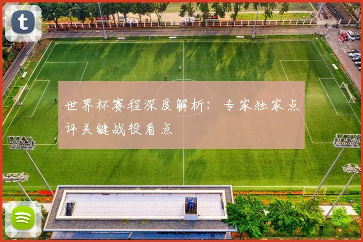 世界杯赛程深度解析:专家独家点评关键战役看点